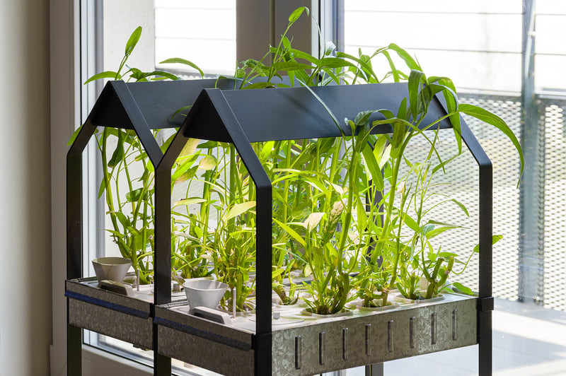 Indoor Hydroponic Garden Reddit - Best Hydroponic System Reddit